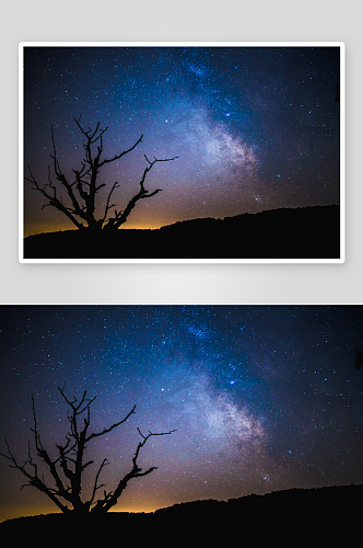 夜晚的天空星星和树的剪影