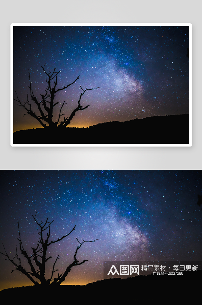 夜晚的天空星星和树的剪影素材