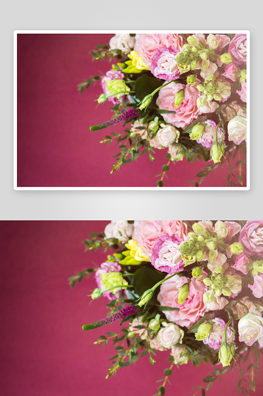勃艮第背景下的粉红色花朵和绿叶