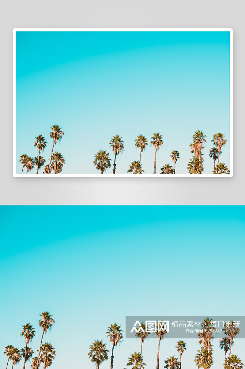 蓝色晴朗天空中的棕榈树素材