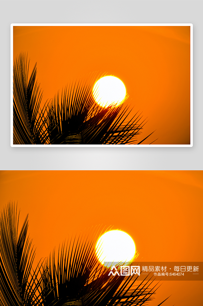 棕榈树后面的日落素材