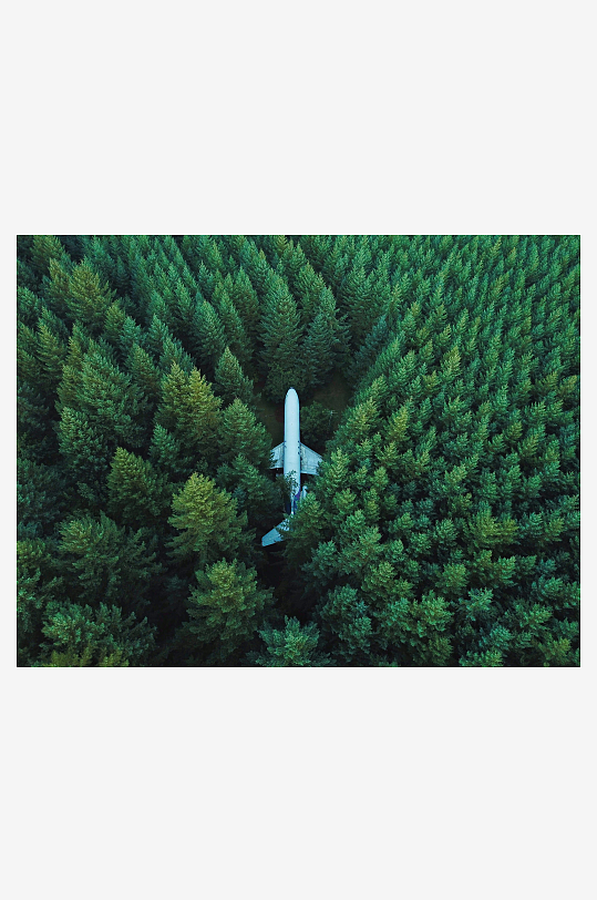 被树木包围的飞机高清图