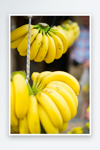 绳子上的黄色香蕉果实