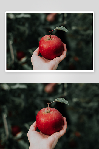 一个红苹果特写高清图