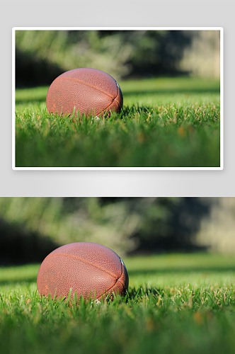 橄榄球运动高清摄影图