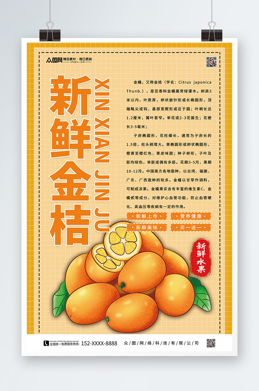 金桔水果宣传海报素材