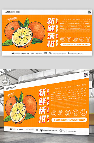 橙色柑子沃柑农产品水果展板