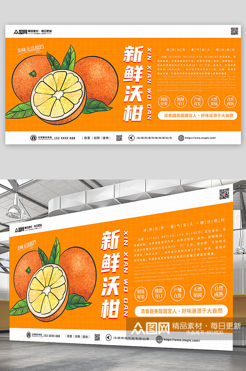 橙色柑子沃柑农产品水果展板素材