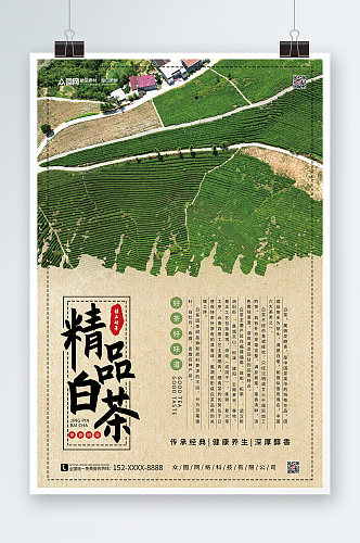 中国风白茶茶叶茶文化宣传海报
