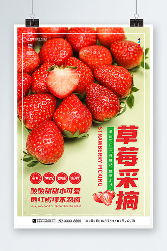 简约摘草莓摄影图海报