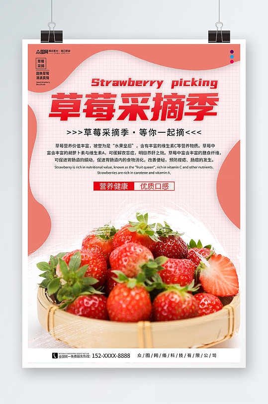 草莓采摘季摘草莓摄影图海报