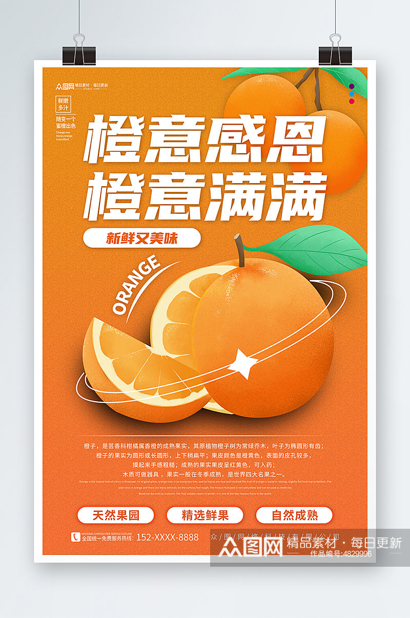 橙意满满新鲜橙子摄影图海报素材