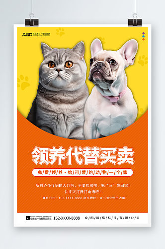 宠物领养爱心公益海报