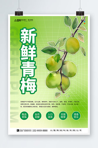 梅子青梅水果宣传海报