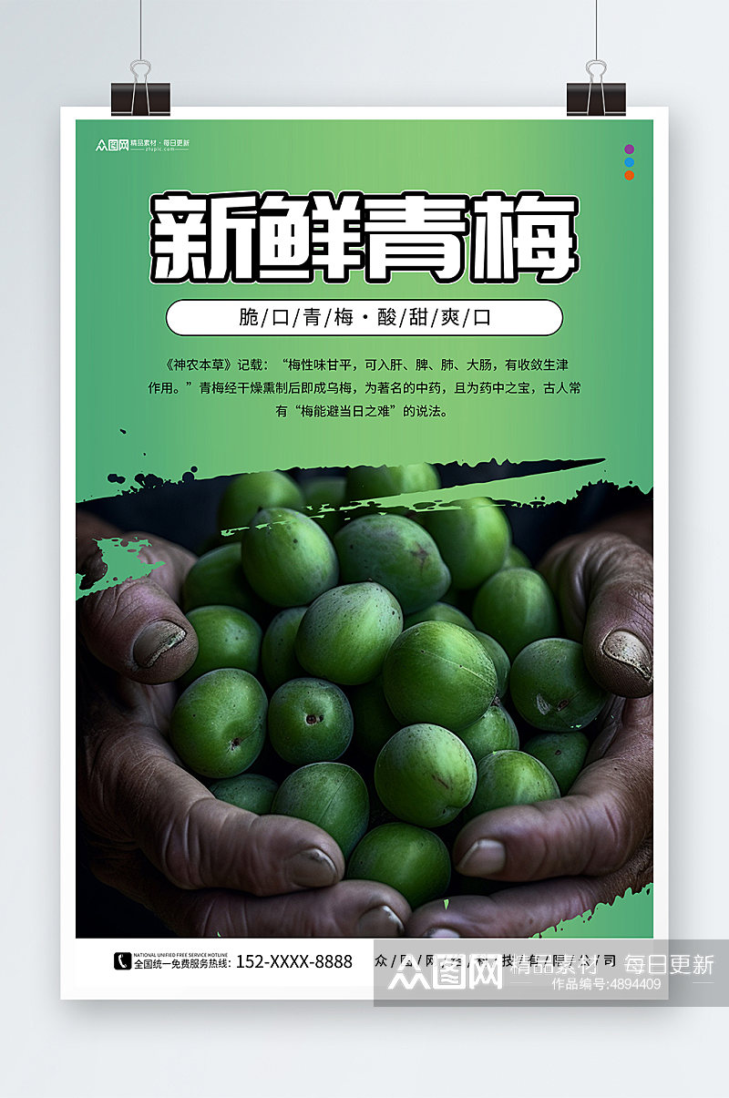 绿色新鲜梅子青梅水果宣传海报素材