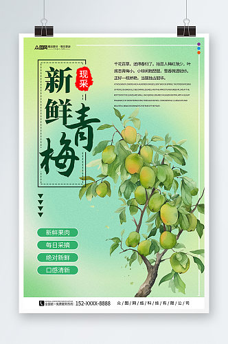 新鲜梅子青梅水果宣传海报