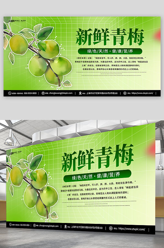 绿色天然梅子青梅水果宣传展板