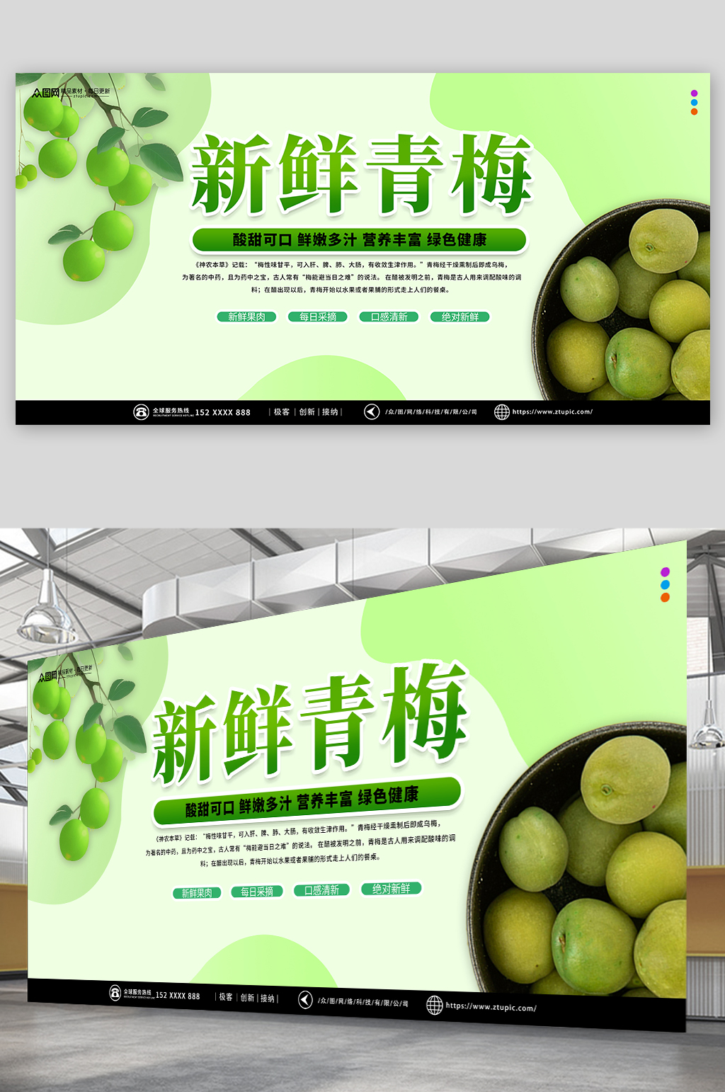 新鲜梅子青梅水果宣传展板素材