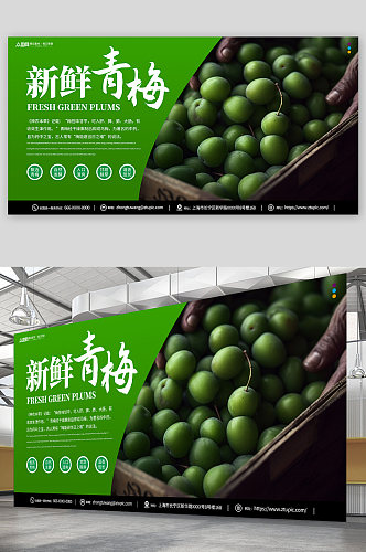 新鲜绿色梅子青梅水果宣传展板