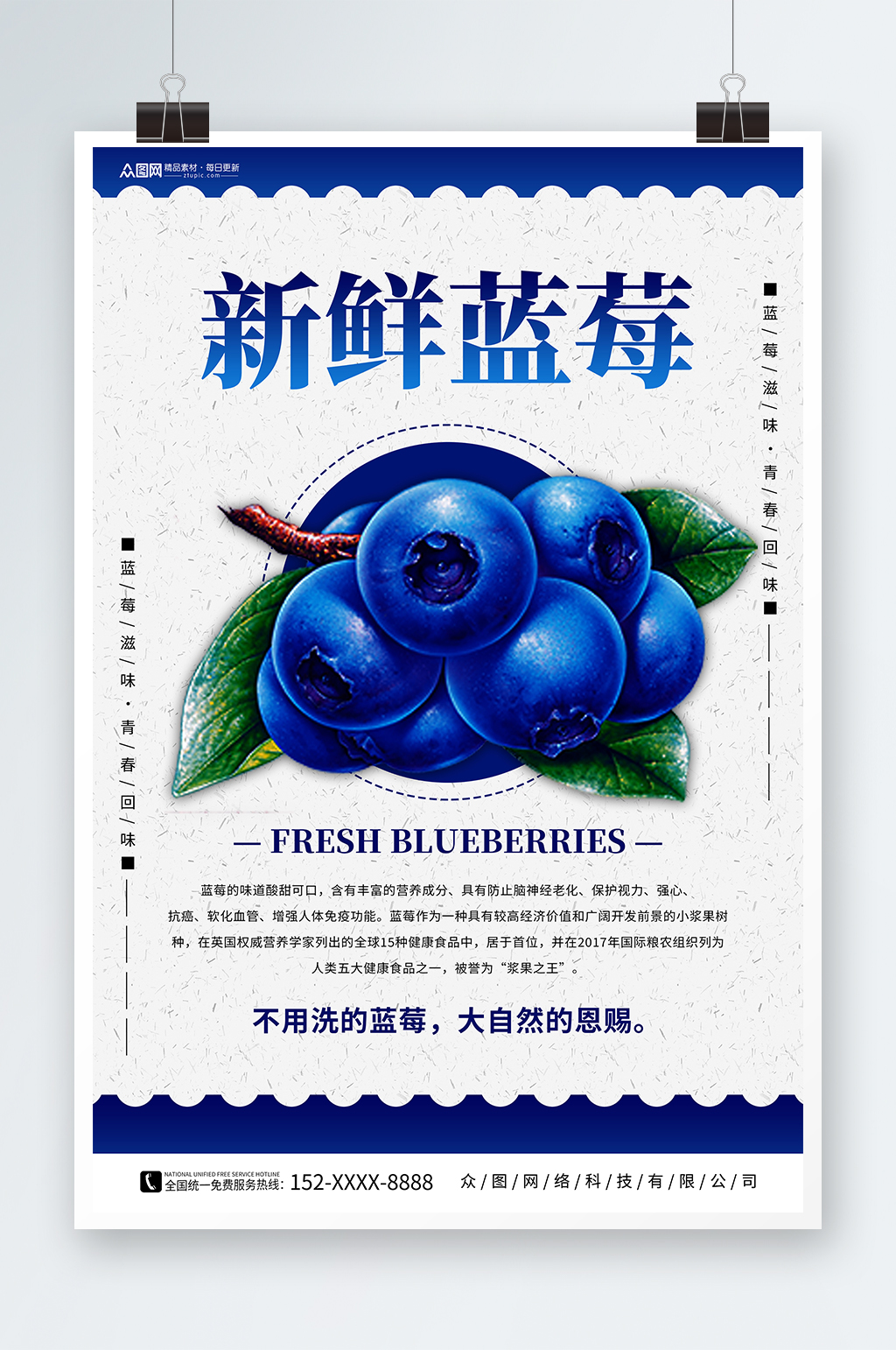 新鲜蓝莓水果店图片海报素材