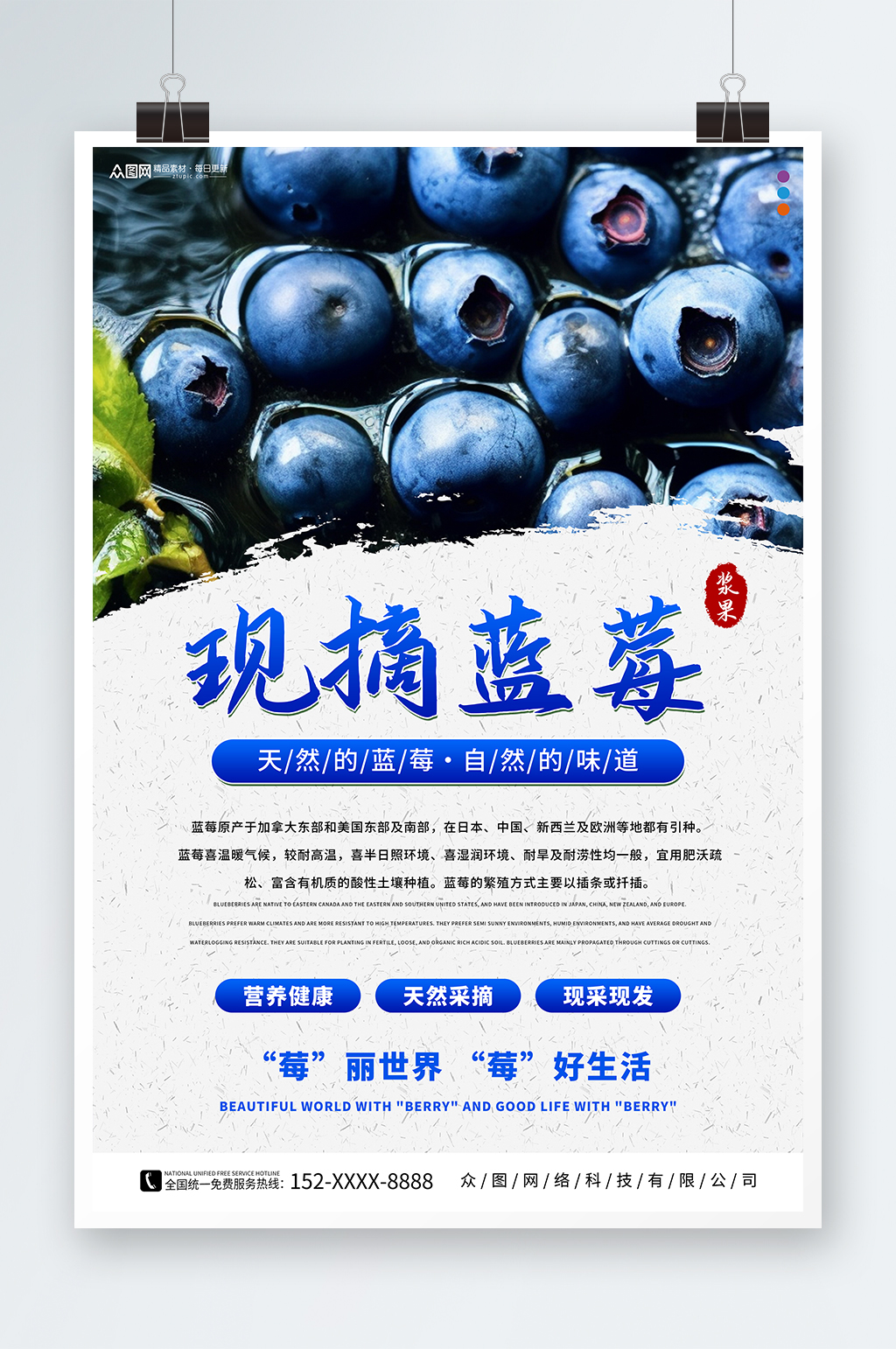 现摘蓝莓水果店图片海报素材