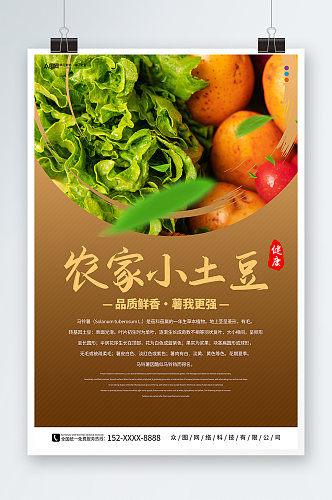 新鲜农家土豆马铃薯蔬菜海报