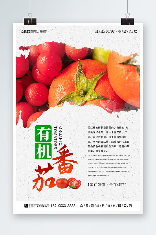 新鲜有机番茄西红柿蔬果海报
