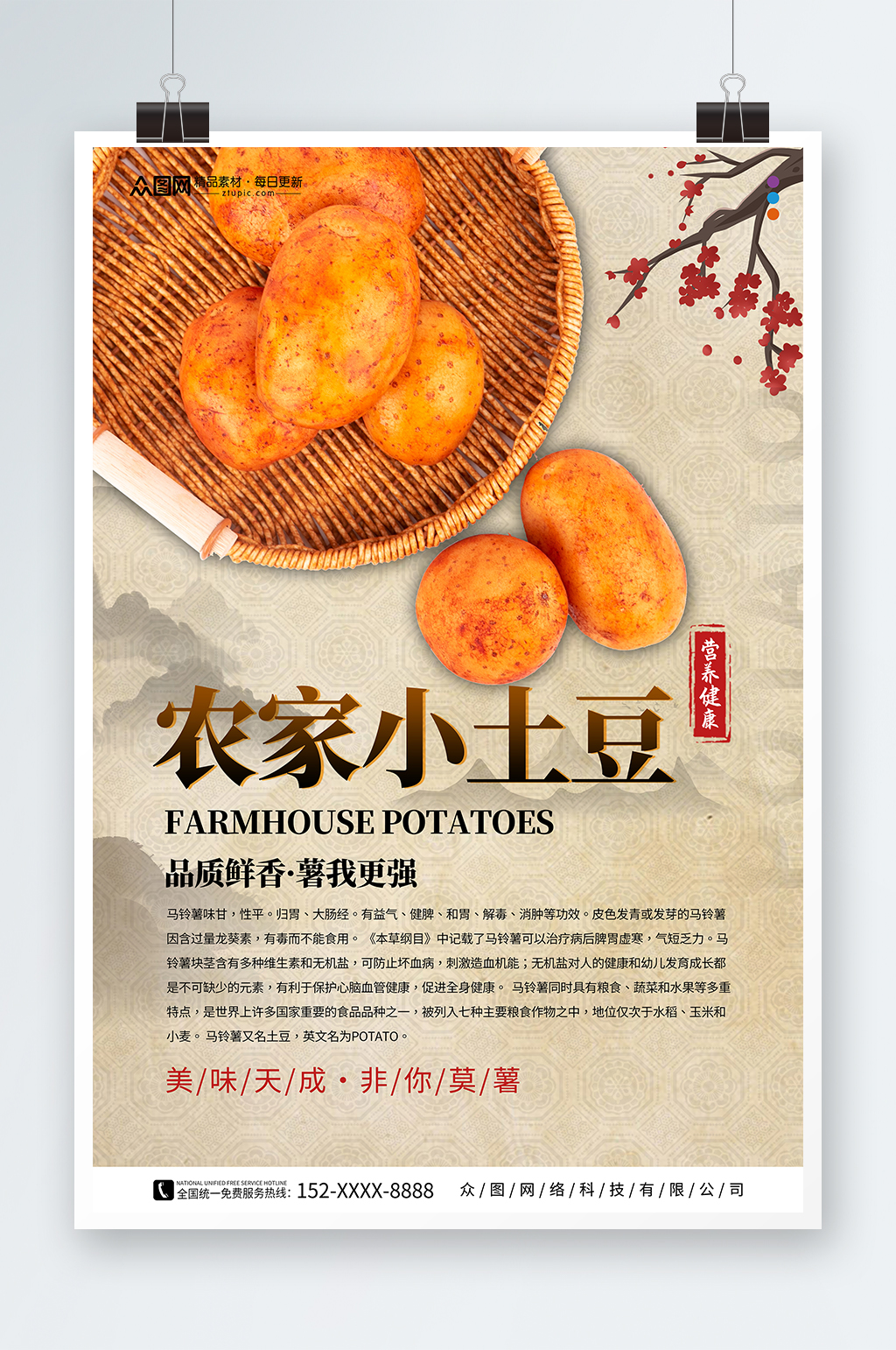 创意新鲜土豆马铃薯蔬菜海报素材