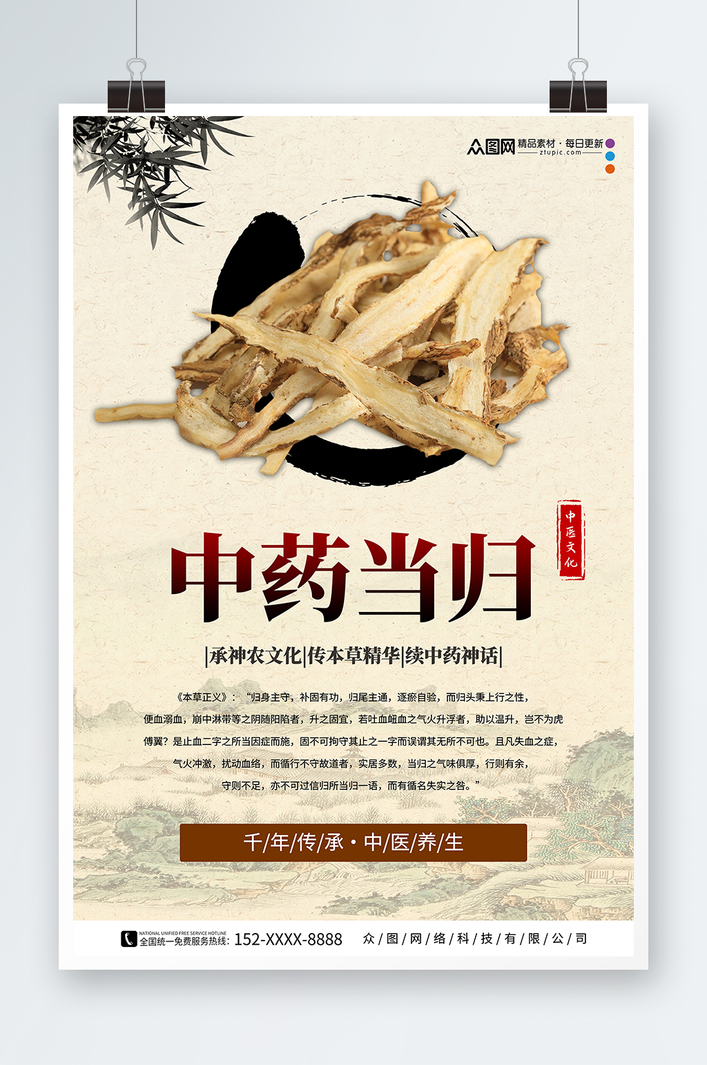 简约养生当归药材中药海报素材