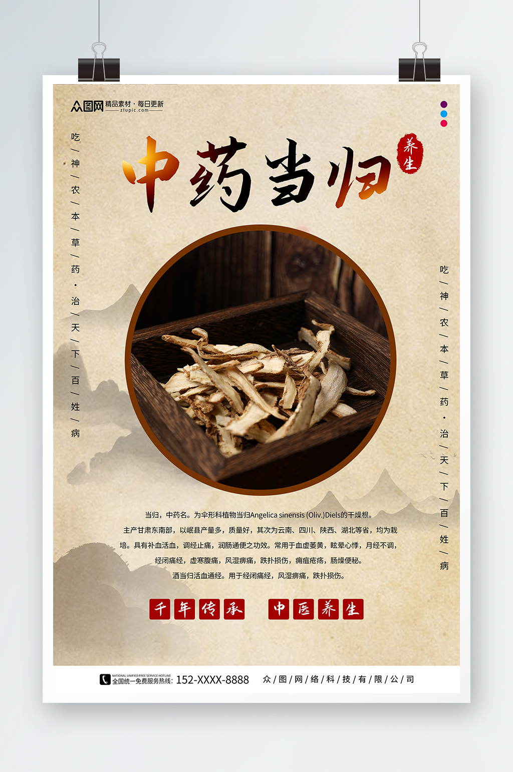 典雅养生当归药材中药海报素材
