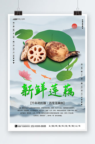 新鲜莲藕蔬菜海报