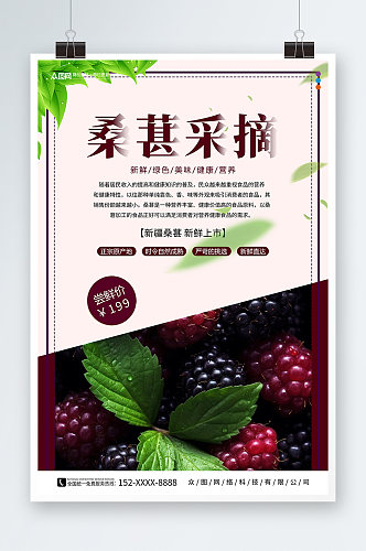 简约新鲜桑葚果园水果采摘促销海报
