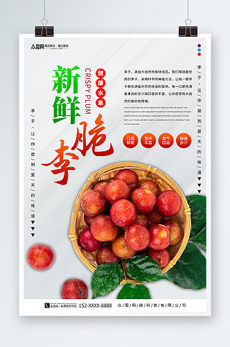 脆李西梅李子夏季水果果园促销海报