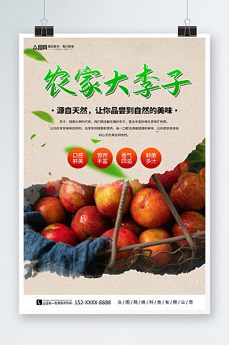 农家西梅李子夏季水果果园促销海报