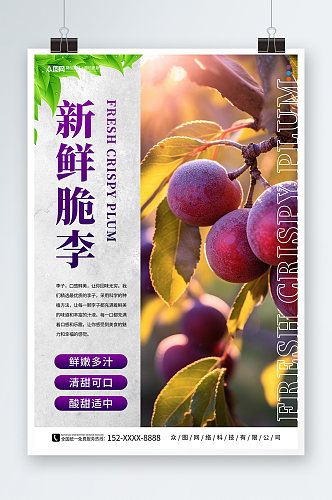 西梅李子夏季水果果园促销海报