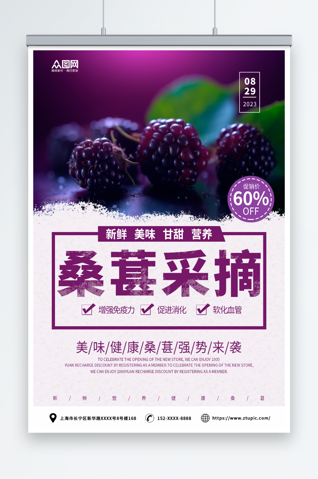 紫色摄影桑葚果园水果采摘促销海报素材