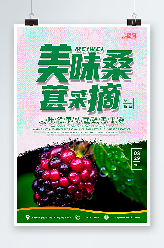 绿色桑葚果园水果采摘促销海报