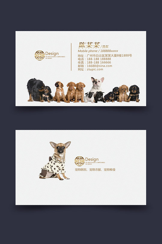 宠物大气名片图片-宠物大气名片设计素材-宠物大气名片模板下载