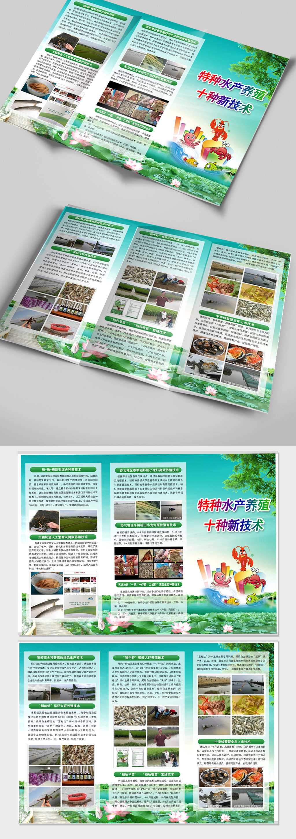 特种水产养殖三折页素材
