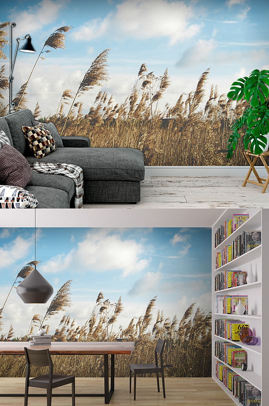 唯美芦苇自然风光-众图网