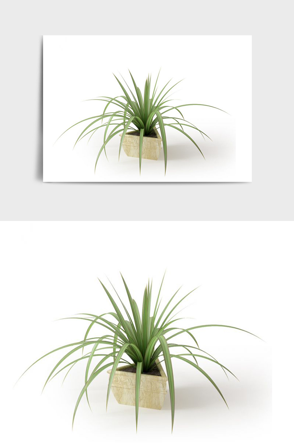 C4D景观绿植盆栽盆景草模型素材