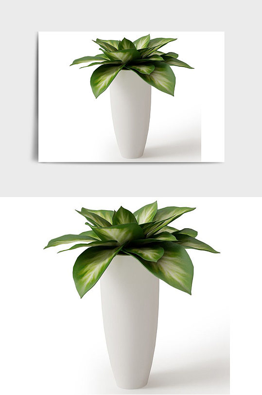 室内景观绿植盆栽盆景C4D模型-众图网