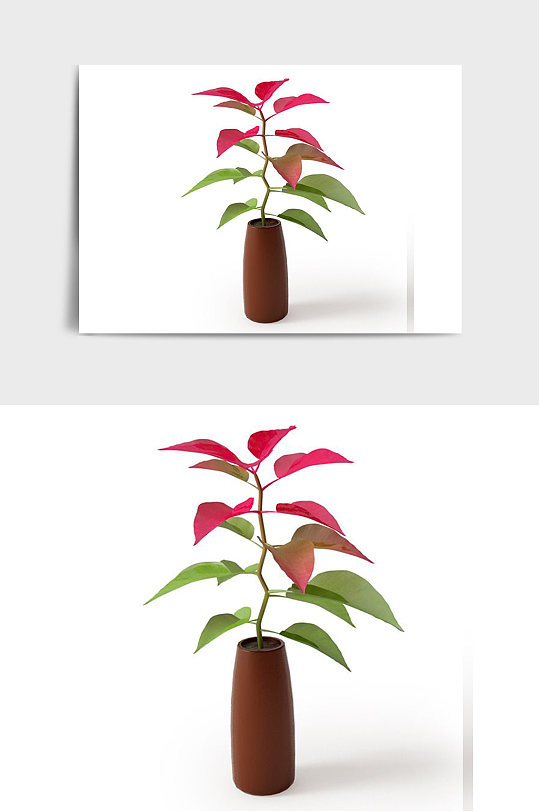 花朵C4D景观绿植盆栽盆景模型-众图网