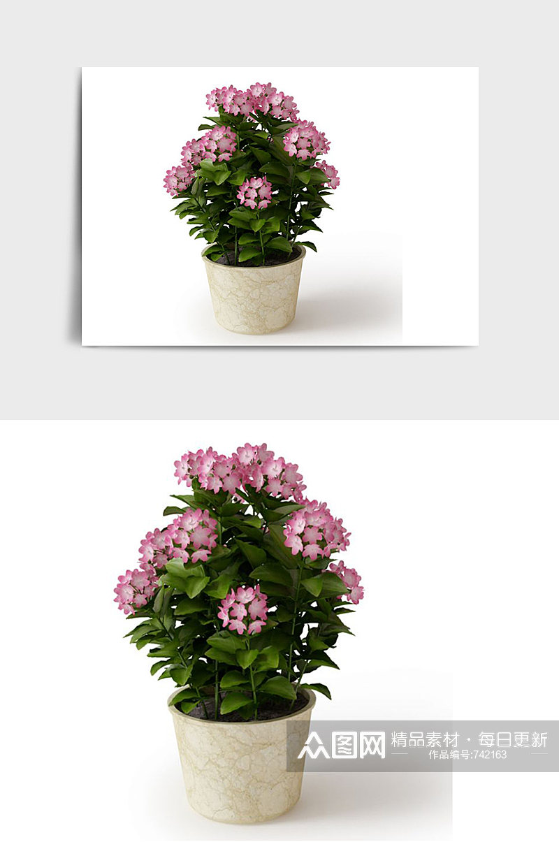 花朵C4D景观绿植盆栽盆景模型素材
