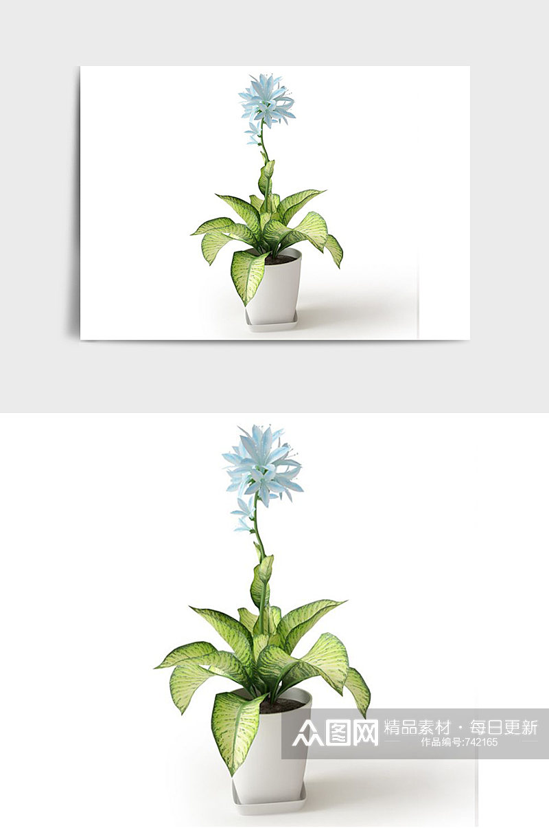 蓝色花朵C4D景观绿植盆栽盆景模型素材