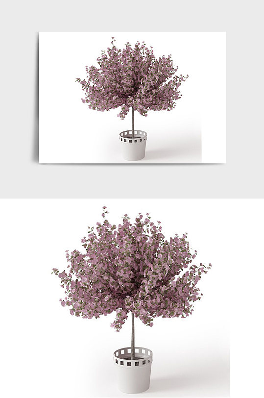 粉色树木C4D景观绿植盆栽盆景模型