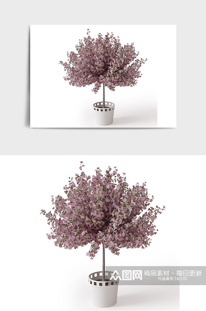 粉色树木C4D景观绿植盆栽盆景模型素材