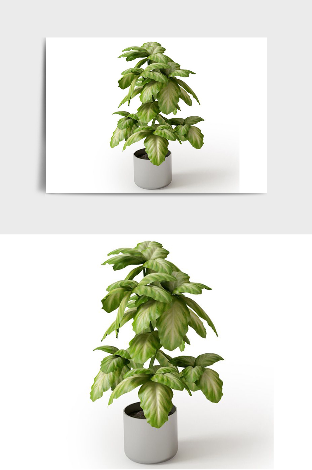 室内装饰C4D景观绿植盆栽盆景模型素材