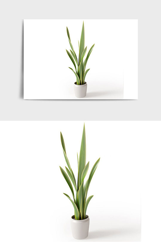 景观绿植盆栽盆景C4D模型-众图网