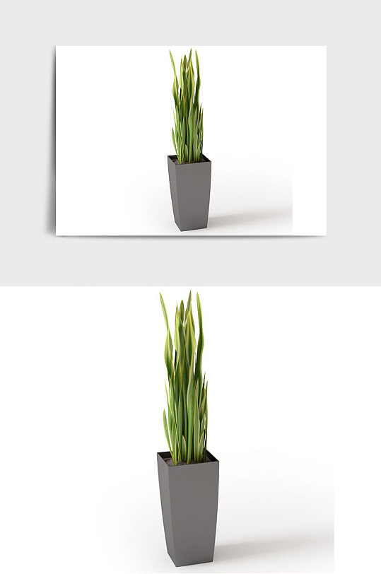 绿植盆栽景观盆景C4D模型-众图网